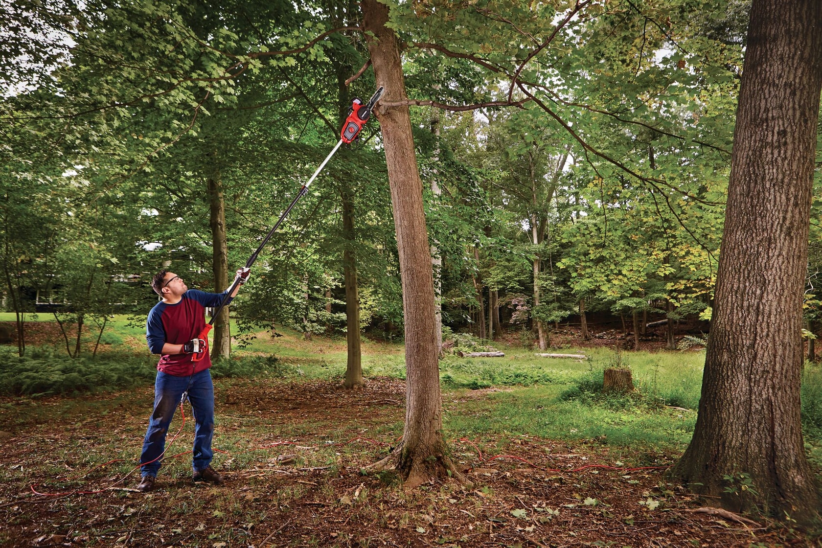 View of CRAFTSMAN Pole Saws being used by consumer