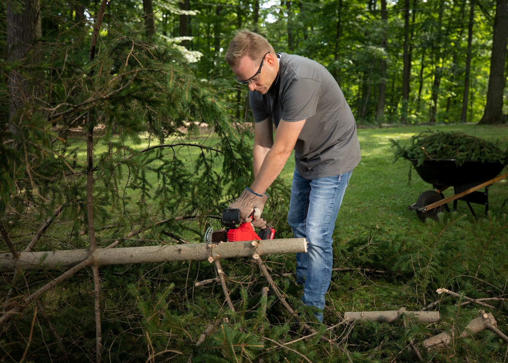 CRAFTSMAN V20 Pruning Chainsaw cutting a fallen tree in a wooded area
